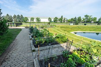 Outdoor walking path